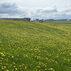 23-05-21 16-54-43 5535